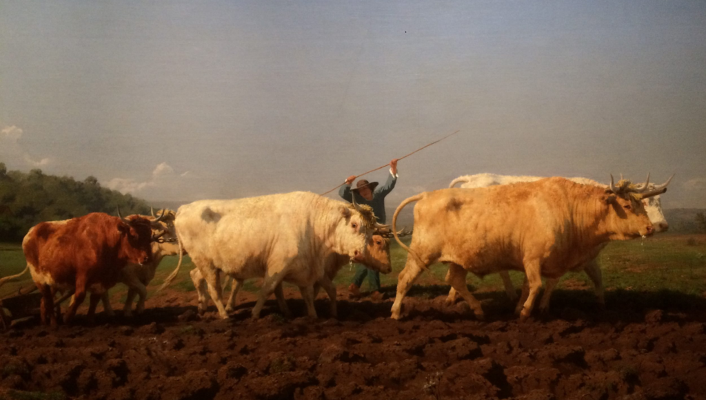 Faire briller l&rsquo;art féministe